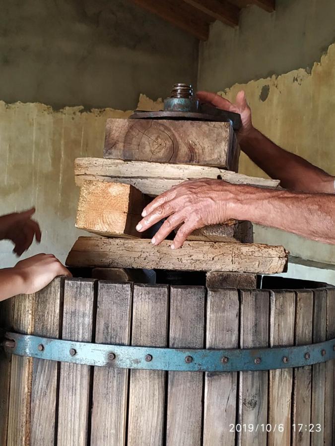 Casa Rural La Morena Castroverde de Cerrato Bagian luar foto