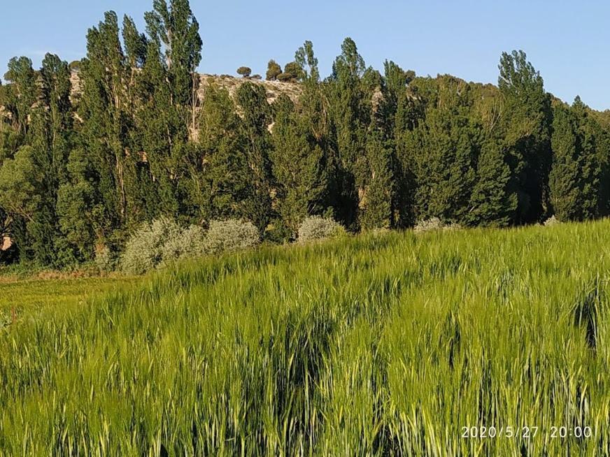 Casa Rural La Morena Castroverde de Cerrato Bagian luar foto